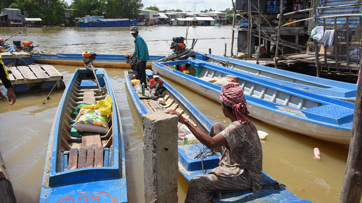 Sản vật mùa nước nổi An Giang, lũ thấp, có nơi vẫn tấp nập kẻ bán người mua - Ảnh 3.
