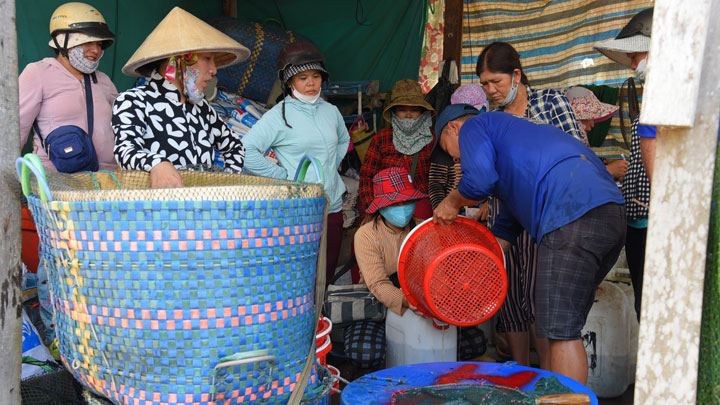 Sản vật mùa nước nổi An Giang, lũ thấp, có nơi vẫn tấp nập kẻ bán người mua - Ảnh 7.