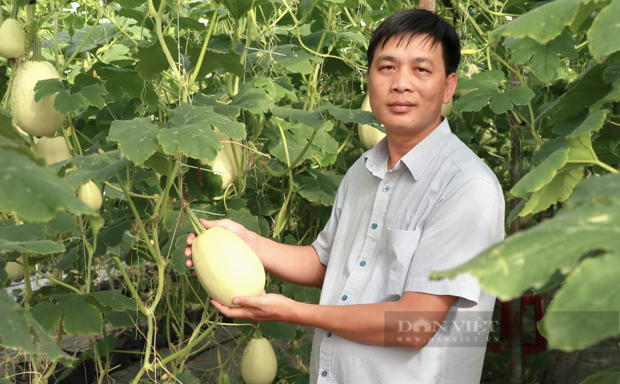 Liên kết 100 nông hộ, 8X Hà Tĩnh đưa nông sản Đà Lạt ra khắp cả nước - Ảnh 4.