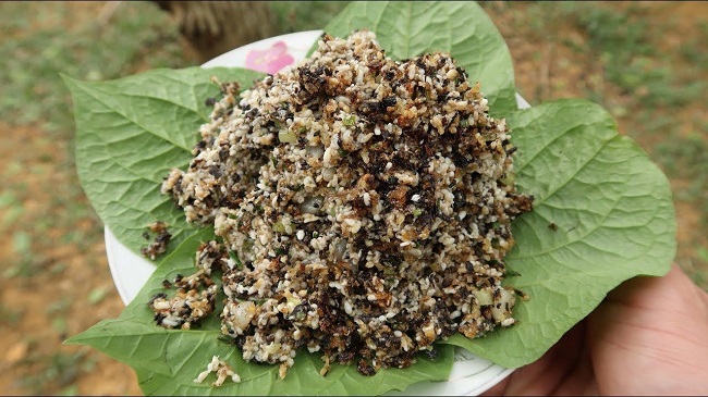 Trứng con này một năm chỉ xuất hiện một lần, là đặc sản của người tây Bắc, giá 500.000 đồng/kg - Ảnh 4. Trứng con này một năm chỉ xuất hiện một lần, là đặc sản của người tây Bắc, giá 500.000 đồng/kg - Ảnh 4.