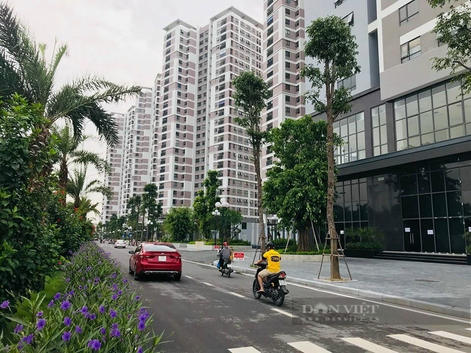 Nhà ở xã hội cần hướng đến người có đóng thuế nhưng không “với tới” nhà ở thương mại  - Ảnh 1.