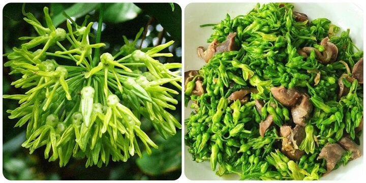 Là loại hoa nhưng cũng là loại rau ăn rất tốt cho sức khoẻ, vậy mà nhiều người chưa biết - Ảnh 1. Là loại hoa nhưng cũng là loại rau ăn rất tốt cho sức khoẻ, vậy mà nhiều người chưa biết - Ảnh 1.