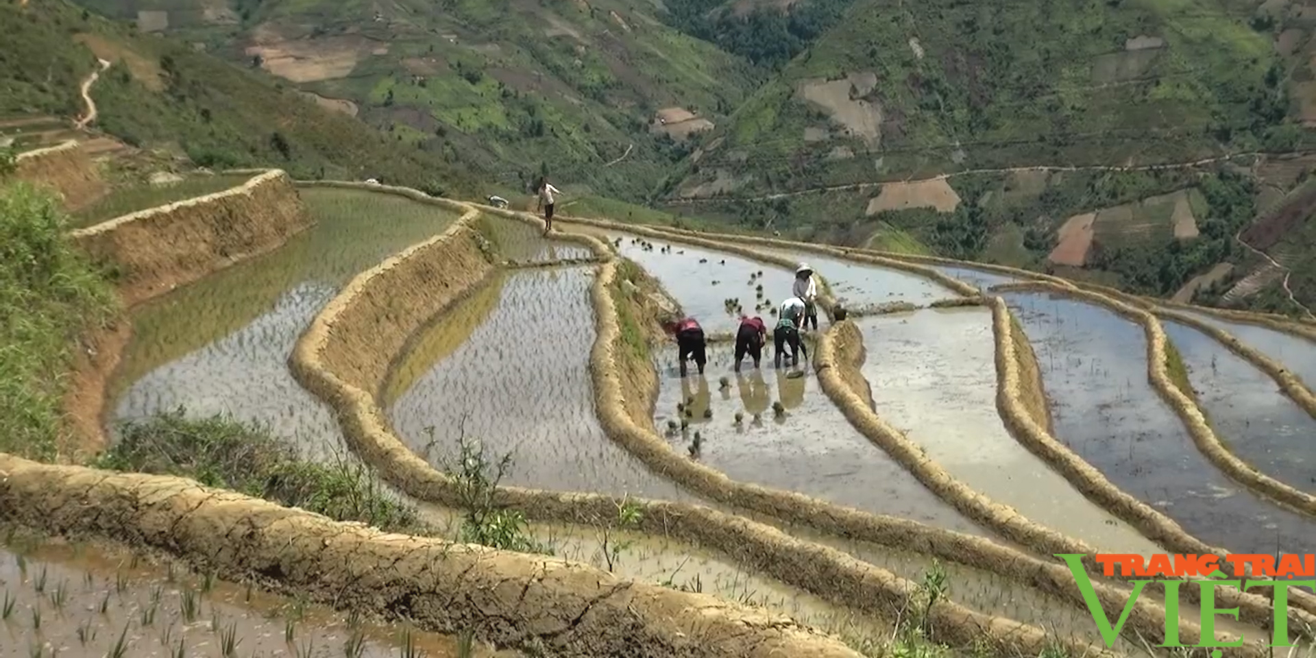 Điểm sáng trong công tác xóa đói giảm nghèo ở bản vùng cao Sơn La - Ảnh 5.