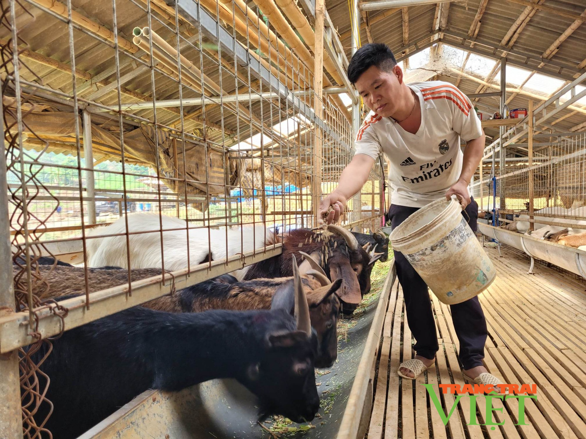 Điện Biên: Thay đổi phương thức hỗ trợ, giúp người nghèo có thêm động lực vươn lên - Ảnh 1.