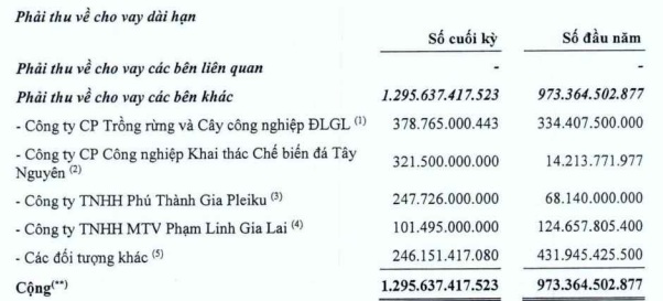 Bị ra quyết định mở thủ tục phá sản, tài sản của ‘đại gia phố núi' Đức Long Gia Lai còn những gì? - Ảnh 5.