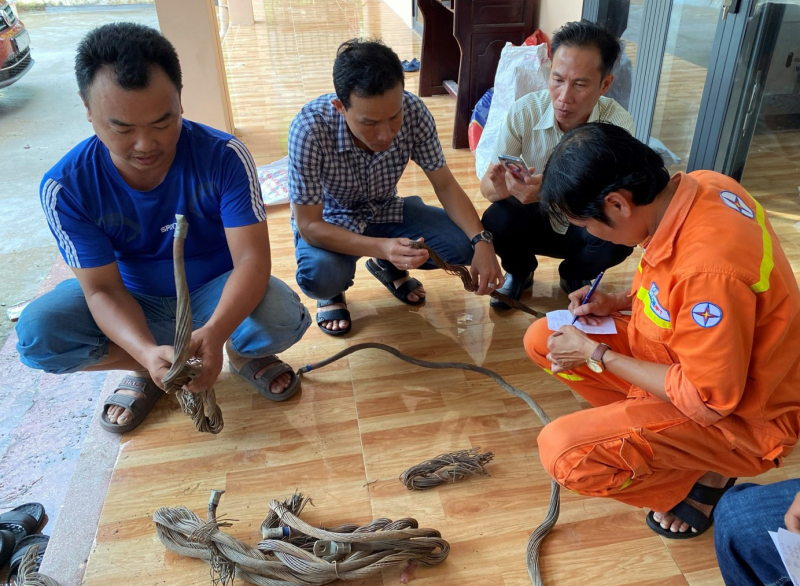 Bắt đối tượng trộm dây tiếp địa của Trạm phân phối 500kV Sông Hậu - Ảnh 1.