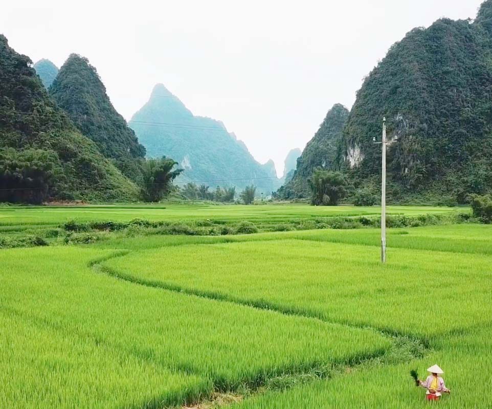 Những kinh nghiệm đi Pù Luông mùa lúa chín du khách không nên bỏ qua - Ảnh 5.