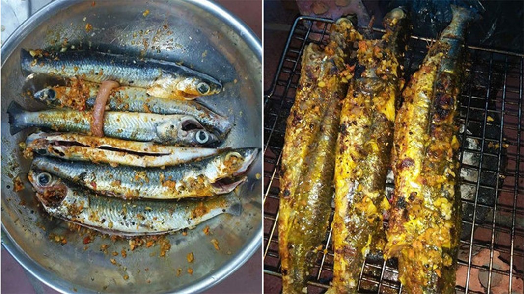 Độc lạ loài cá biết bay chỉ có ở vùng biển miền Trung Việt Nam - Ảnh 6.