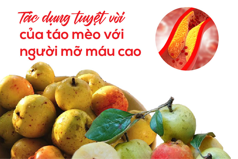 Loại quả phổ biến ở Việt Nam giúp giảm nhanh mỡ máu - Ảnh 1.