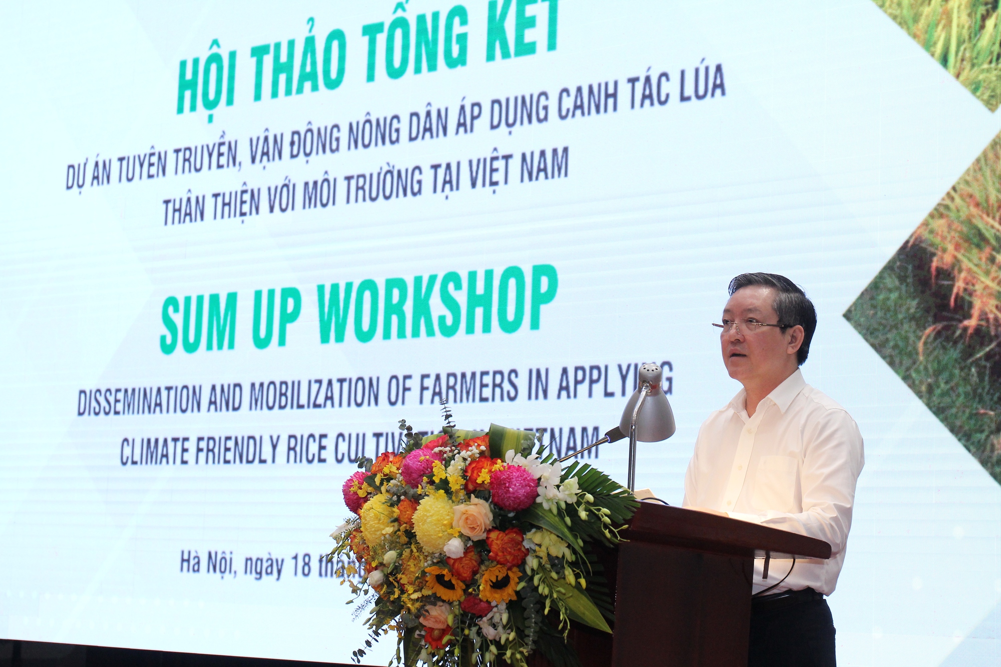 Trồng lúa thân thiện môi trường, nông dân giảm bón phân, cây lúa &quot;uống&quot; ít nước, thu nhập tốt hơn hẳn - Ảnh 1.