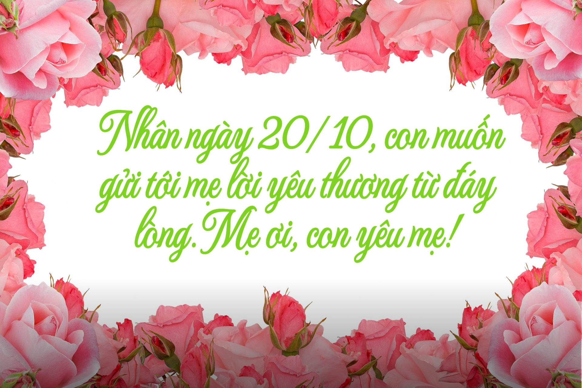 60 lời chúc 20/10 năm 2023 hay nhất, ý nghĩa nhất dành cho những phụ nữ bạn yêu thương, trân trọng - Ảnh 3.