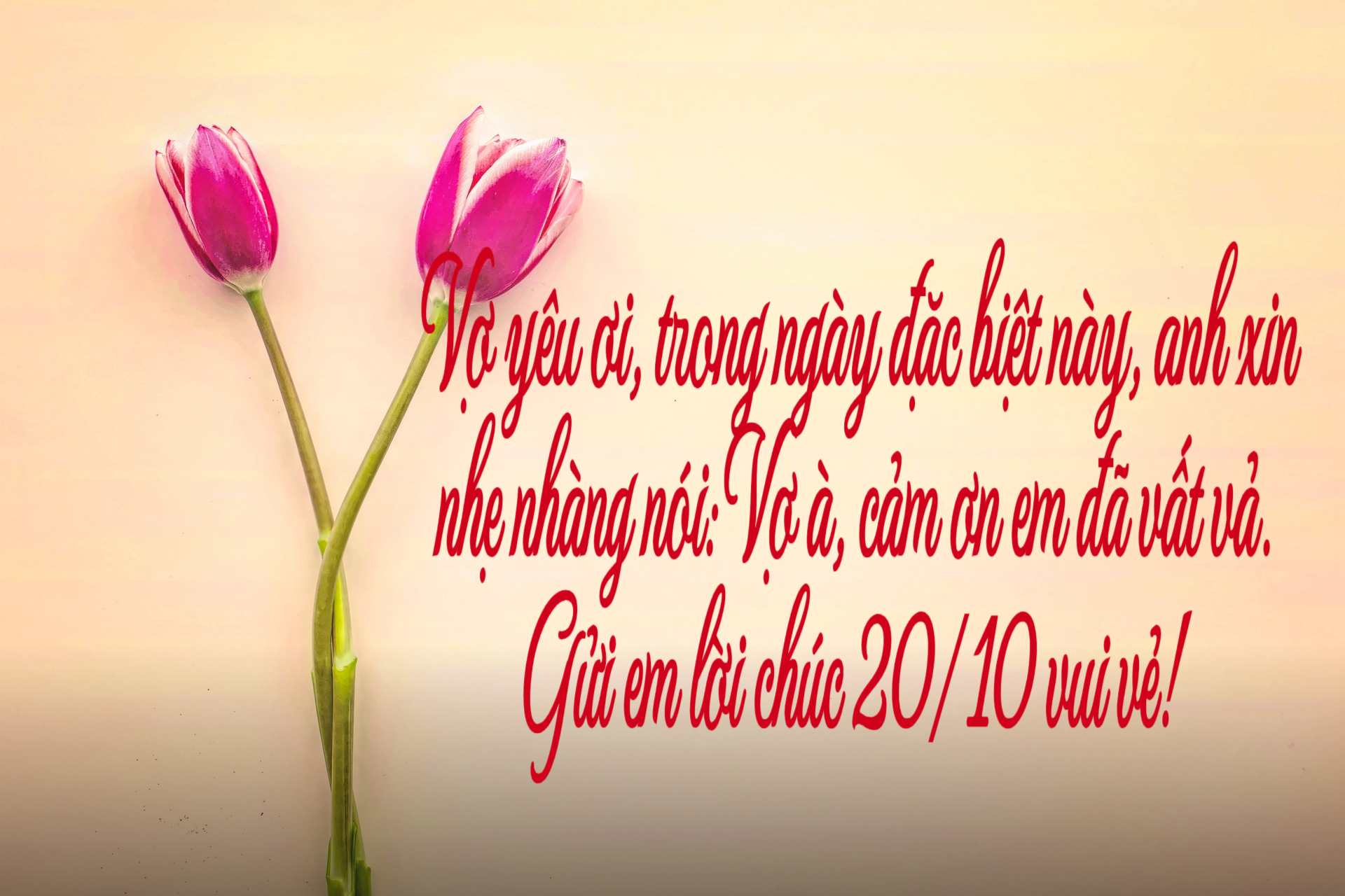 60 lời chúc 20/10 năm 2023 hay nhất, ý nghĩa nhất dành cho những phụ nữ bạn yêu thương, trân trọng - Ảnh 4.