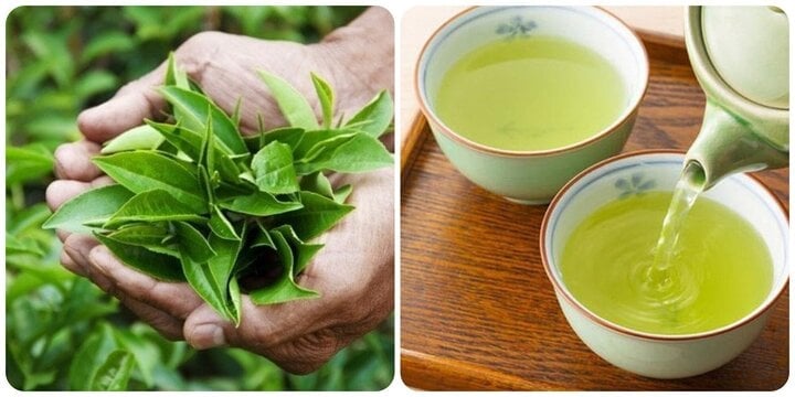 Nước chè xanh rất tốt nhưng lại 'đại kỵ' với 7 nhóm người này - Ảnh 1. Nước chè xanh rất tốt nhưng lại 'đại kỵ' với 7 nhóm người này - Ảnh 1.