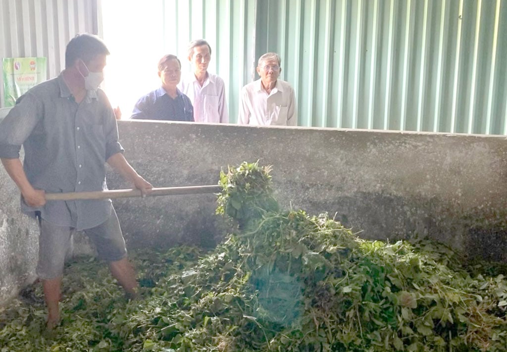 Dân một nơi ở Long An nhặt rác gì mang về ủ thành phân hữu cơ bón cây tốt bời bời, nhiều người đến xem - Ảnh 1.