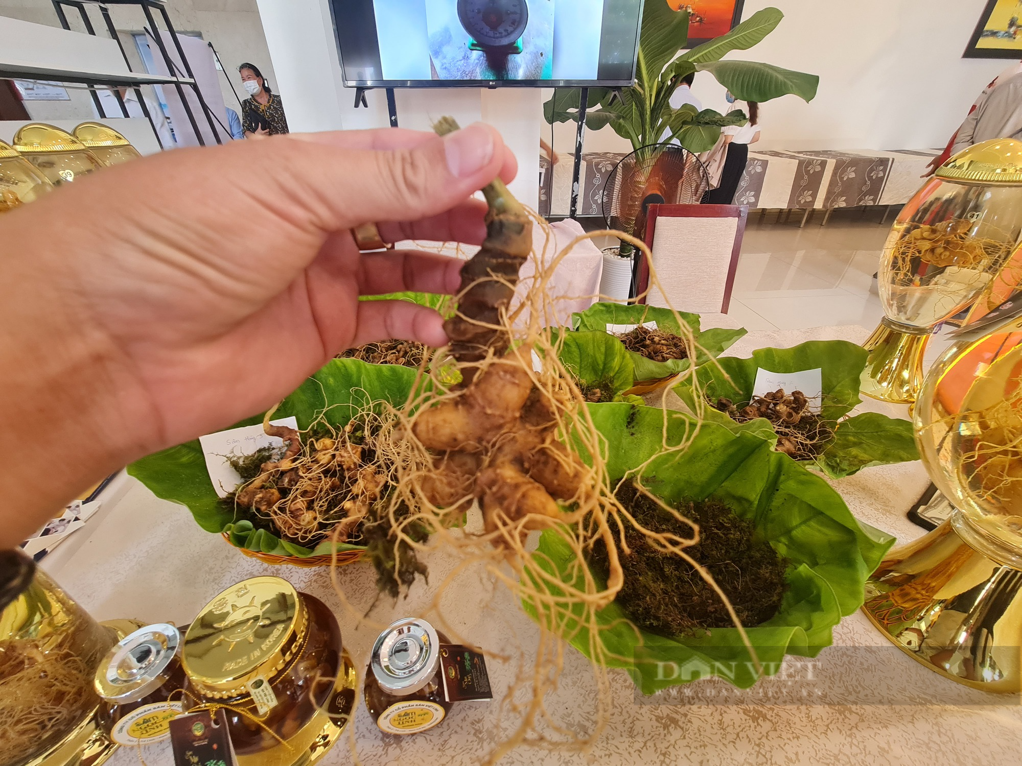 Quảng Nam đề nghị lập các chuyên án điều tra đối với đường dây, tụ điểm kinh doanh các sản phẩm sâm giả - Ảnh 2.