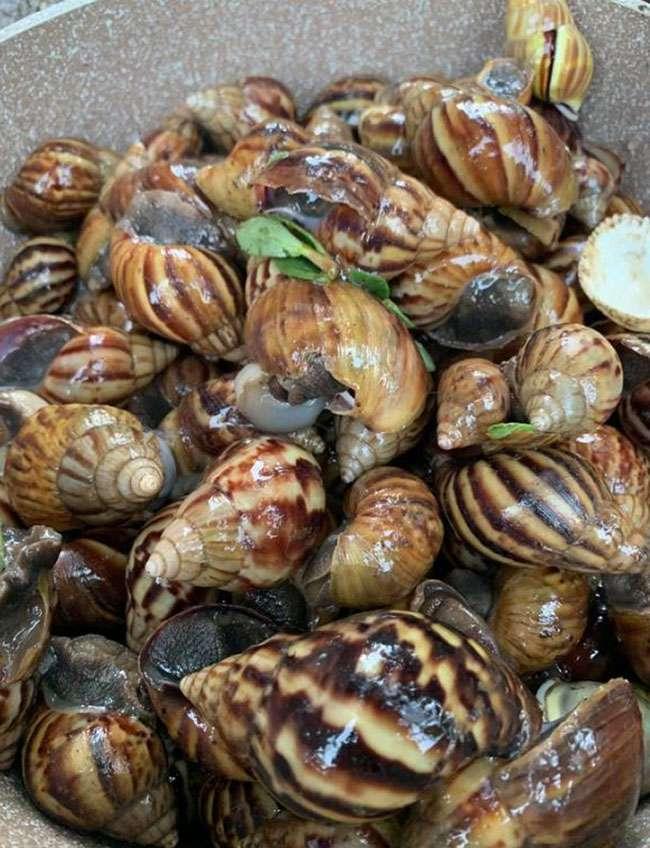 Một đặc sản có phần ghê rợn, ít người dám sờ vào nói gì đến ăn, nay bán chạy như tôm tươi - Ảnh 1. Một đặc sản có phần ghê rợn, ít người dám sờ vào nói gì đến ăn, nay bán chạy như tôm tươi - Ảnh 1.