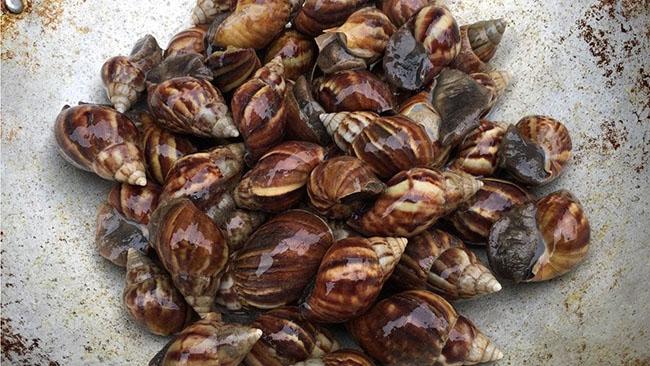 Một đặc sản có phần ghê rợn, ít người dám sờ vào nói gì đến ăn, nay bán chạy như tôm tươi - Ảnh 6. Một đặc sản có phần ghê rợn, ít người dám sờ vào nói gì đến ăn, nay bán chạy như tôm tươi - Ảnh 6.