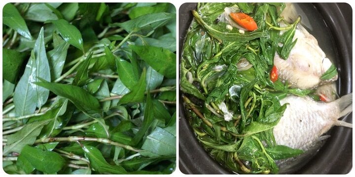 Loại rau gia vị quen thuộc trong bữa ăn hàng ngày của người Việt, song không phải ai cũng biết tác dụng - Ảnh 1. Loại rau gia vị quen thuộc trong bữa ăn hàng ngày của người Việt, song không phải ai cũng biết tác dụng - Ảnh 1.