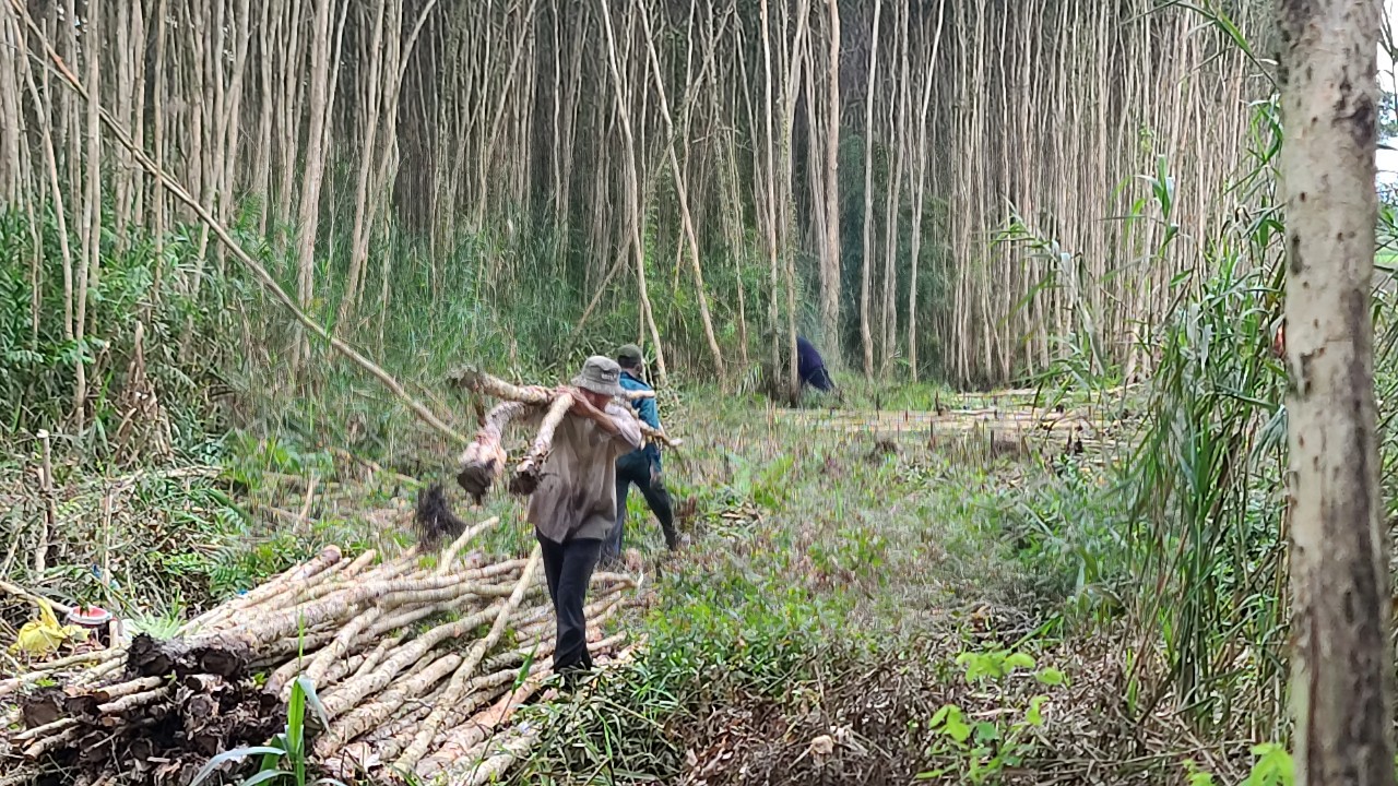 Bác Ba Phi – Nét văn hóa độc đáo của vùng đất Nam bộ - Ảnh 3. Bác Ba Phi – Nét văn hóa độc đáo của vùng đất Nam bộ - Ảnh 3.