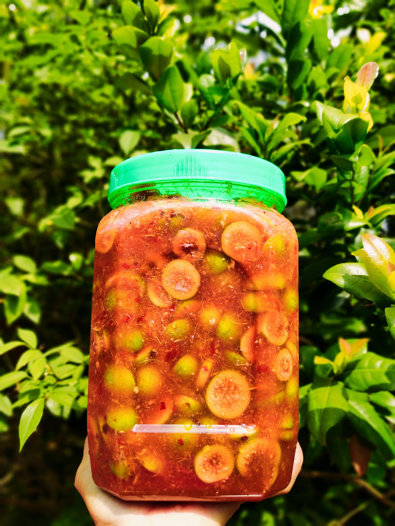 Loại quả dân dã và có giá thành rất rẻ nhưng lại được nhiều người yêu thích, ăn vào lợi đủ đường cho sức khỏe - Ảnh 7.