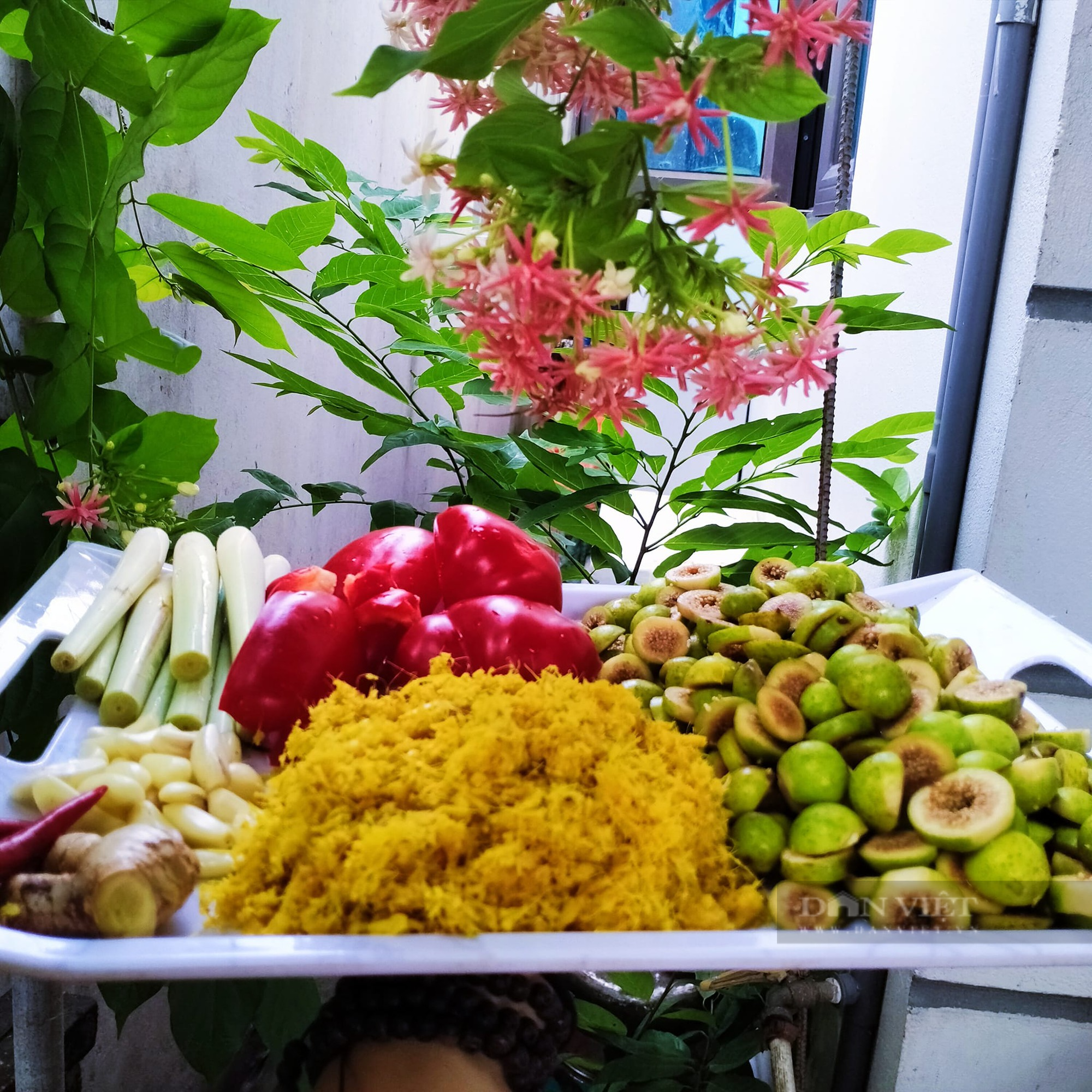 Loại quả dân dã và có giá thành rất rẻ nhưng lại được nhiều người yêu thích, ăn vào lợi đủ đường cho sức khỏe - Ảnh 3.