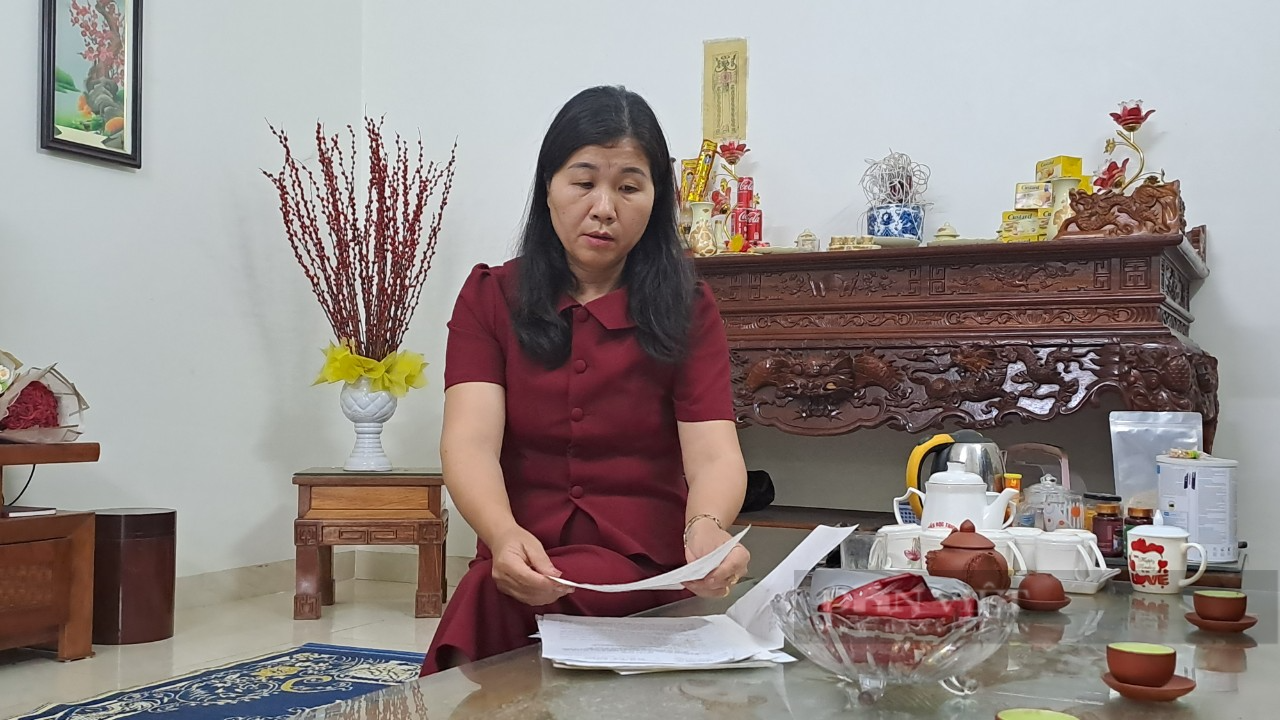 Thái Nguyên: Nhiều hộ dân lo lắng vì mua đất đấu giá trái thẩm quyền - Ảnh 4.