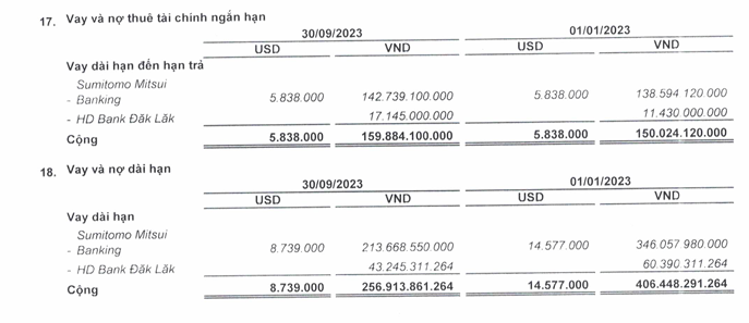 Thủy điện Buôn Đôn (BSA): Trữ tiền giảm mạnh, 9 tháng hoàn thành 98% kế hoạch năm  - Ảnh 2.