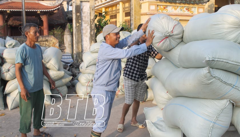 Anh nông dân Thái Bình có nhiều thóc nhất huyện, mỗi vụ cả trăm tấn - Ảnh 1.