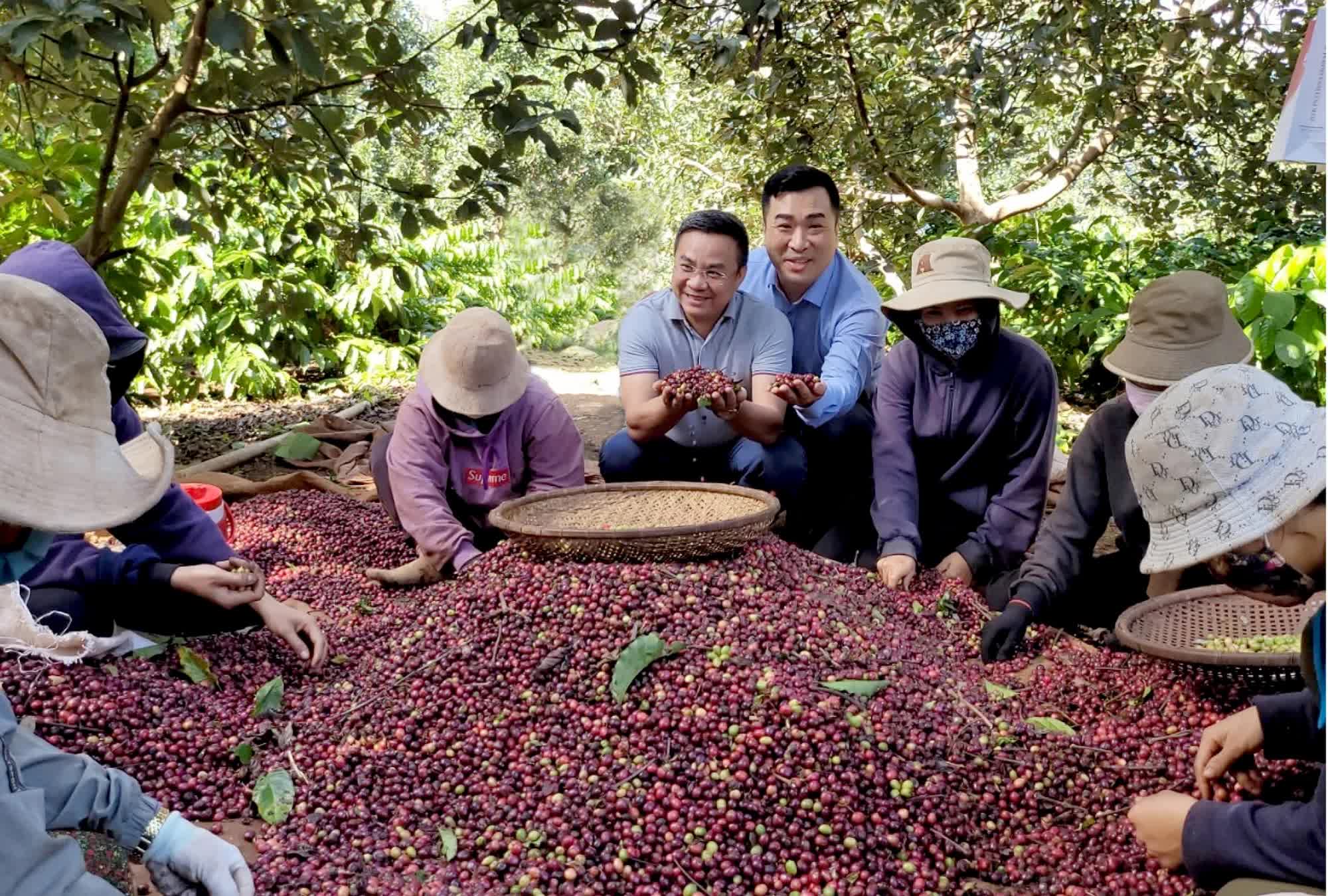 Chiêu “bán lược cho sư” của ông chủ cà phê nông sản - Ảnh 1.