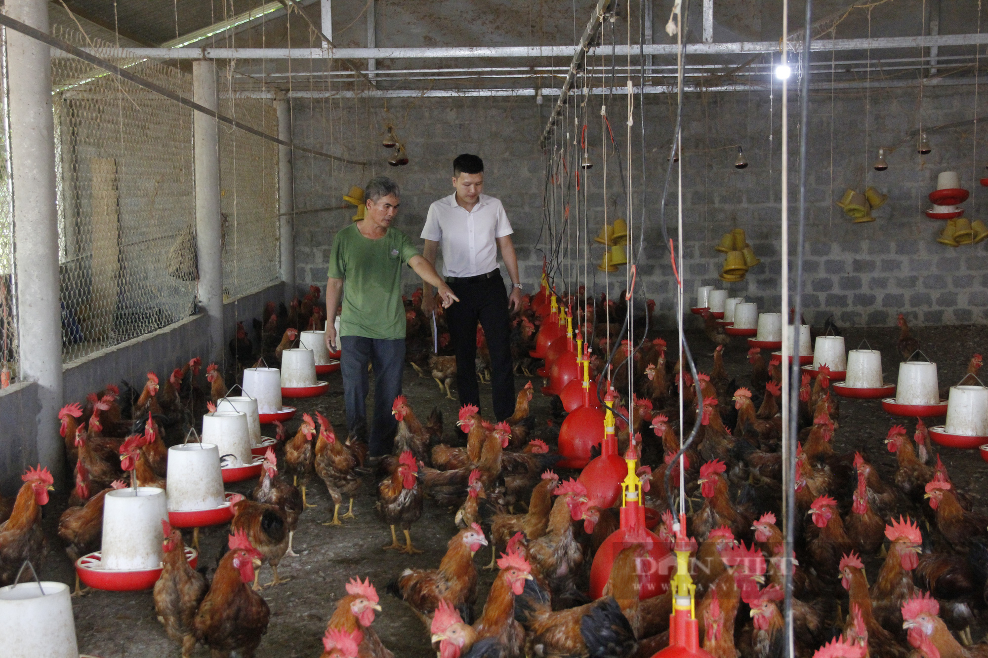 Dấu ấn Agribank trong xây dựng nông thôn mới tại Quảng Trị - Ảnh 4.