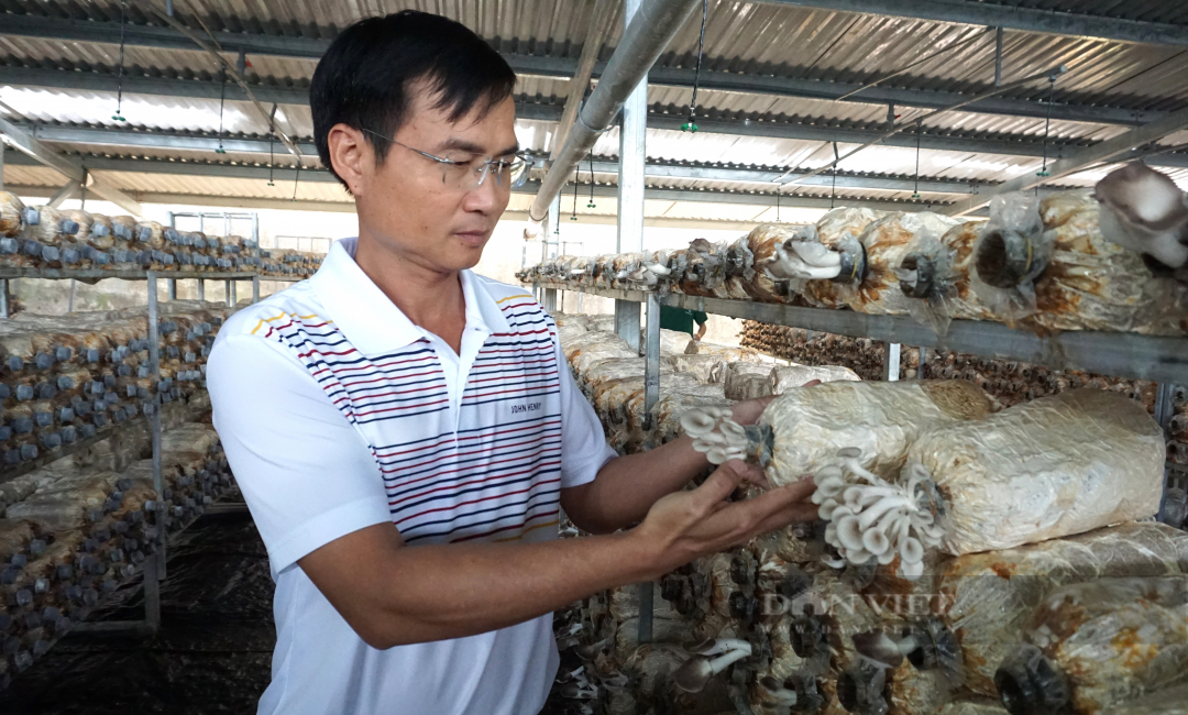 &quot;Lấn sân&quot; nông nghiệp, 'trùm' bất động sản tham vọng ngôi vị số một ngành nấm - Ảnh 7.