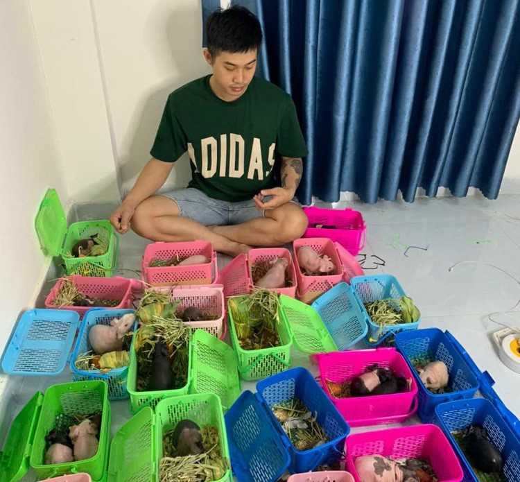 “Hà mã mini” bụng to chân ngắn, giá hàng triệu đồng/con được lùng mua - Ảnh 4. “Hà mã mini” bụng to chân ngắn, giá hàng triệu đồng/con được lùng mua - Ảnh 4.