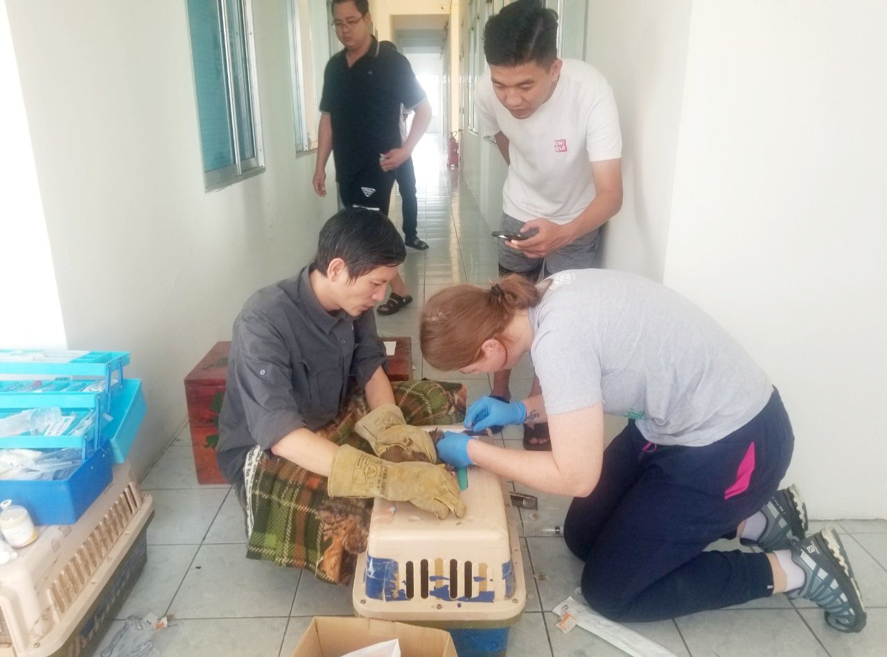 Vườn quốc gia Cúc Phương tiếp nhận và cứu hộ nhiều cá thể tê tê, rùa...quý hiếm - Ảnh 1.