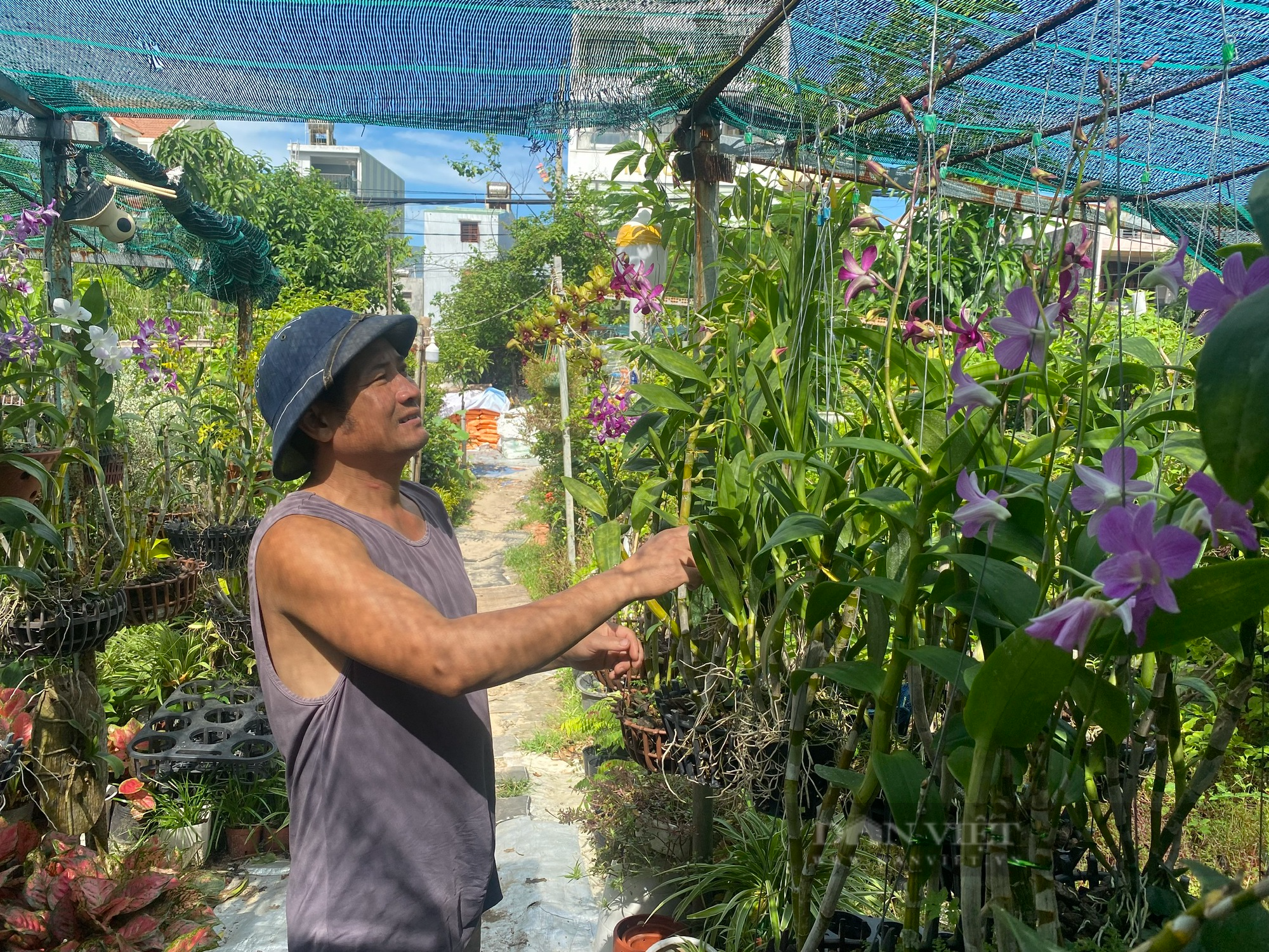 Đất công sản bỏ hoang phế, Đà Nẵng mạnh dạn thí điểm cho thuê có thời hạn tránh lãng phí nguồn lực - Ảnh 2.