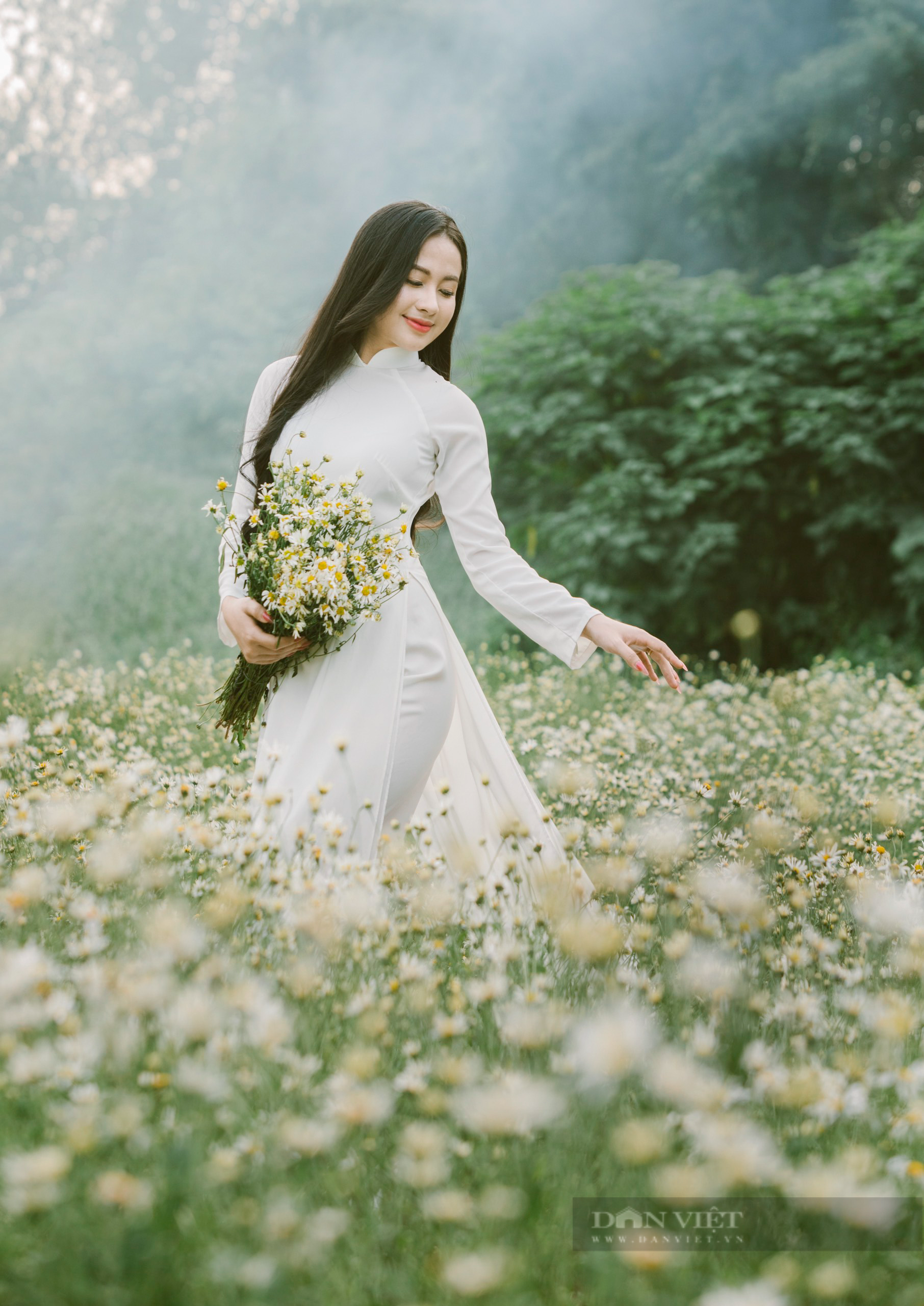 Thiếu nữ Hà Thành say sưa tạo dáng bên cúc họa mi, loài hoa báo hiệu mùa đông sắp tới - Ảnh 3.
