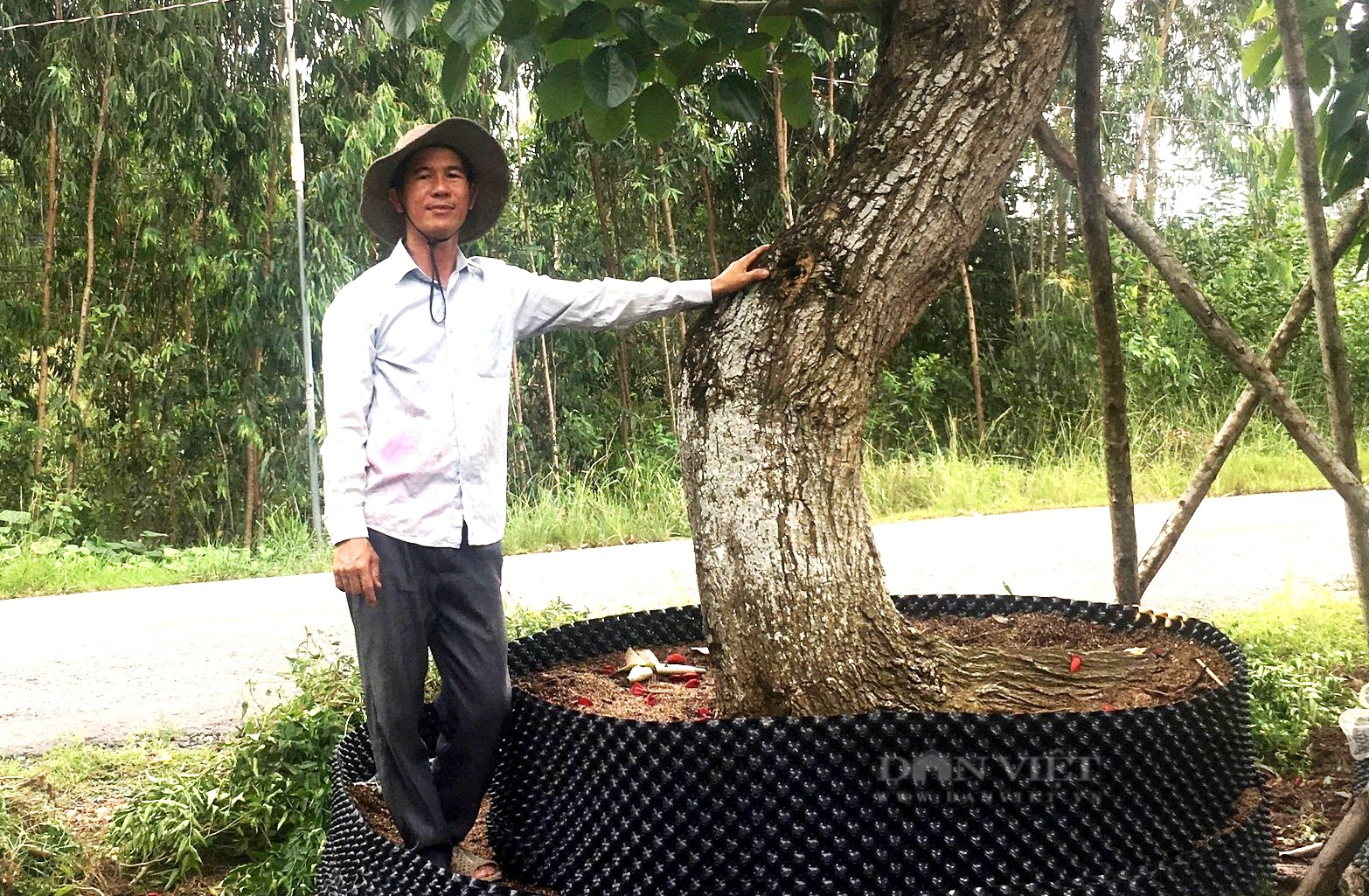Bén duyên nghề “mua củi, bán kiểng”, anh nông dân “rốn phèn” tỉnh Tiền Giang đút túi tiền tỷ mỗi năm - Ảnh 1.