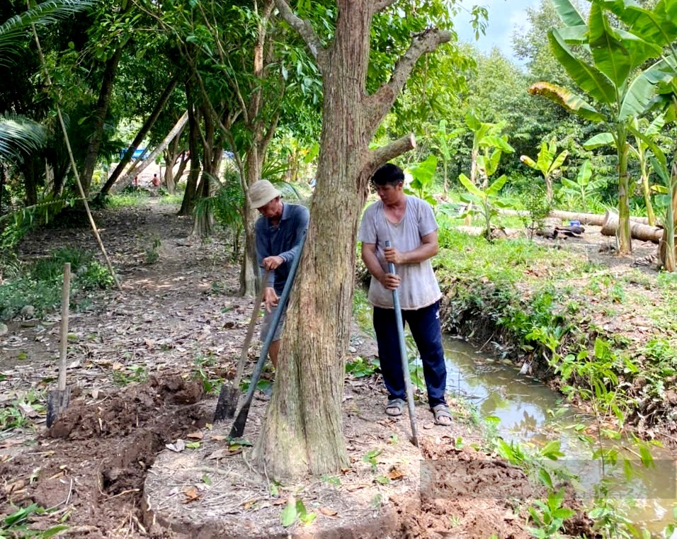 Bén duyên nghề “mua củi, bán kiểng”, anh nông dân “rốn phèn” tỉnh Tiền Giang đút túi tiền tỷ mỗi năm - Ảnh 2.