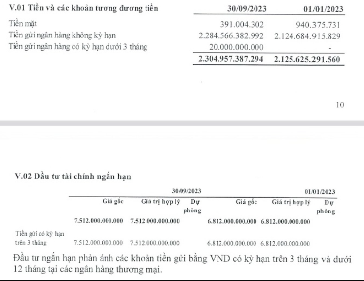 Của để dành lớn, Đạm Cà Mau gây bất ngờ trong doanh thu tài chính - Ảnh 1.