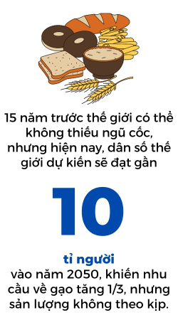 Cả thế giới sốt hừng hực vì thiếu gạo - Ảnh 3.