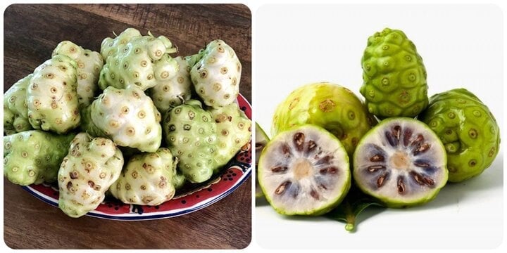 Loại quả có vẻ ngoài xấu xí, tên cũng xấu xí nhưng nhưng nhiều tác dụng, kể cả chống ung thư - Ảnh 1. Loại quả có vẻ ngoài xấu xí, tên cũng xấu xí nhưng nhưng nhiều tác dụng, kể cả chống ung thư - Ảnh 1.