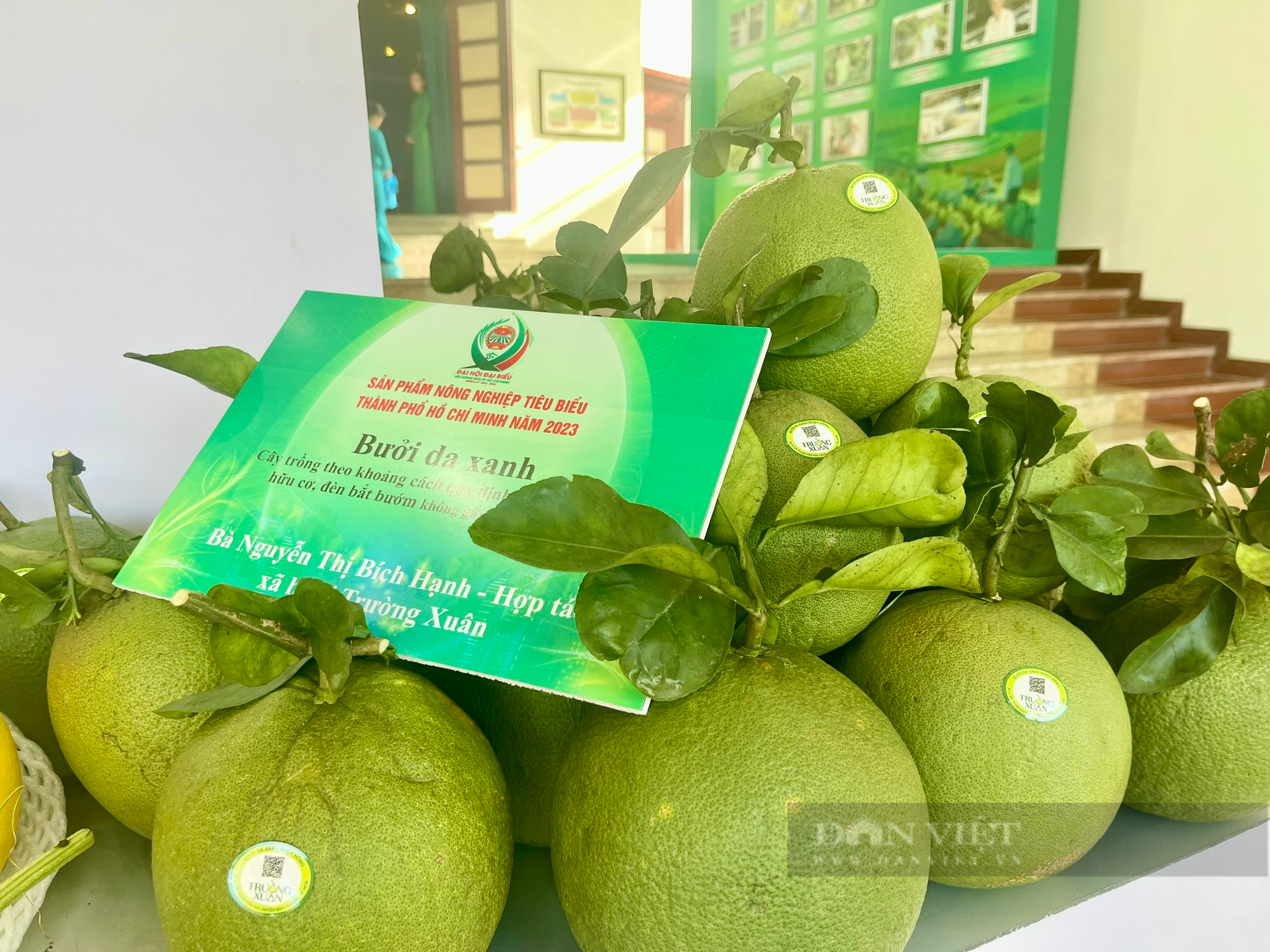 Chuyển từ trồng lúa sang trồng bưởi, nông dân xã Phạm Văn Hai tạo thương hiệu bưởi da xanh nức tiếng - Ảnh 1.