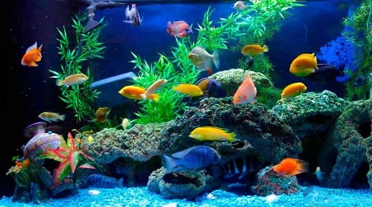 Tạo đầu ra dễ hơn cho các sản phẩm làng nghề TP.HCM  - Ảnh 1.