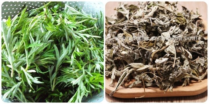Loại rau quen thuộc của người Việt, vừa là rau ăn lại vừa là vị thuốc quý - Ảnh 1. Loại rau quen thuộc của người Việt, vừa là rau ăn lại vừa là vị thuốc quý - Ảnh 1.