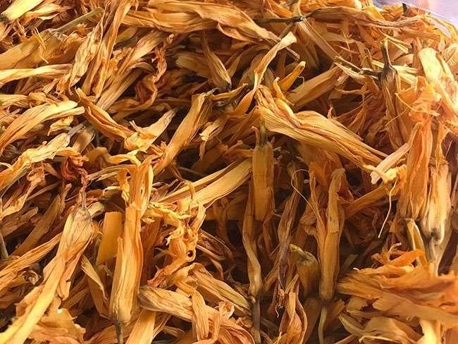 Loài hoa chỉ nở duy nhất một lần, được săn lùng với giá tiền triệu, tiếc là nhiều người trồng không biết - Ảnh 2. Loài hoa chỉ nở duy nhất một lần, được săn lùng với giá tiền triệu, tiếc là nhiều người trồng không biết - Ảnh 2.