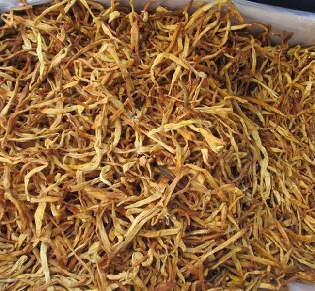 Loài hoa chỉ nở duy nhất một lần, được săn lùng với giá tiền triệu, tiếc là nhiều người trồng không biết - Ảnh 9. Loài hoa chỉ nở duy nhất một lần, được săn lùng với giá tiền triệu, tiếc là nhiều người trồng không biết - Ảnh 9.