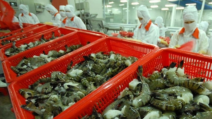 Tiêu thụ tôm Sao Ta cao kỷ lục 7 tháng đầu năm, doanh số đạt hơn 31 triệu USD- Ảnh 2.