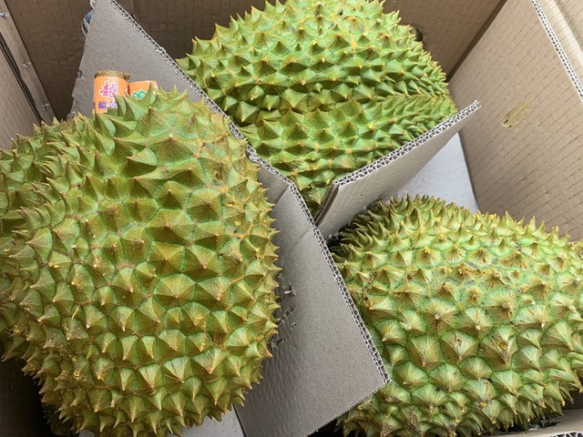 Xuất khẩu sầu riêng qua cửa khẩu Lào Cai tăng mạnh kỷ lục - Ảnh 1. Xuất khẩu sầu riêng qua cửa khẩu Lào Cai tăng mạnh kỷ lục - Ảnh 1.