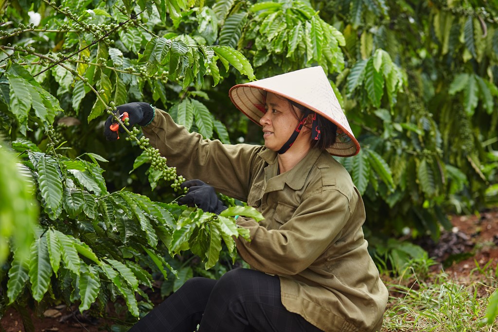 Đơn vị nào là 'Doanh nghiệp tiêu biểu vì Người lao động' 4 năm liên tục? - Ảnh 2.