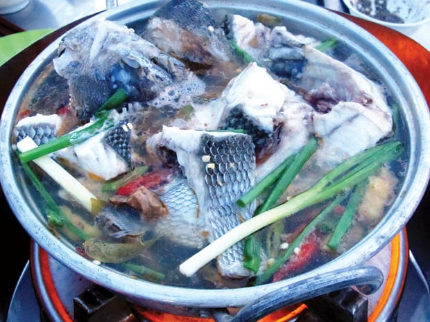 Ẩm thực đảo Lý Sơn với loài hải sản nhiều chân, to &quot;khủng&quot;, vị ngọt, giòn sần sật ngon khó cưỡng - Ảnh 8.