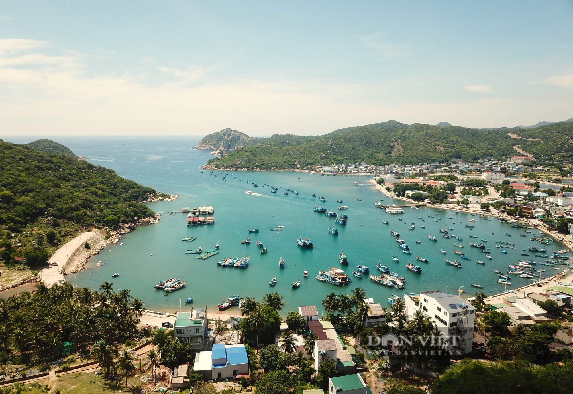 Thông tin mới vụ chuyển đổi 12ha rừng để làm khu nghỉ dưỡng cao cấp Vĩnh Hy ở Ninh Thuận - Ảnh 7.